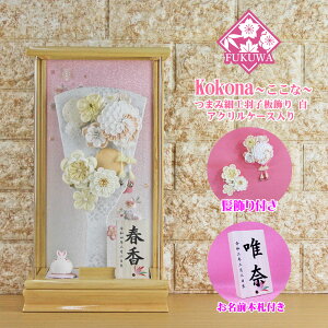 Hq  P[X(9 Eݍ׍H  t ܂) ܂ݍ׍H Hq  O ANP[X ) FUKUR5-166߂׍H { RpNg 킢  CeA 