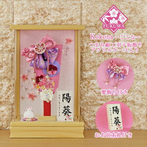 Hq  P[X(7 Eݍ׍H  t ܂ݍ׍H Hq (sN)  O ANP[X )FUKUR6-157B ߂׍H { RpNg 킢  CeA 