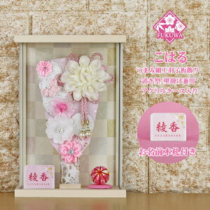 Hq  P[X (7 ܂ݍ׍H Hq ͂ ԂÂ VL[sN ANP[X )FUKUR8-191 ߂׍H { RpNg 킢  CeA  