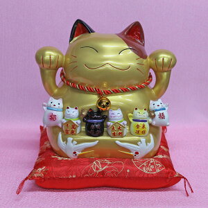 L uEJ^ENE^Eyg{ 菵CL()51906B-N73zL̒u