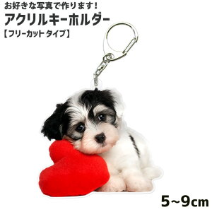 DȎʐ^ō ANL[z_[ yt[Jbgz5cm`9cm ANL[ 1 ʐ^ v[g  A ybg ʐ^ IWi ObY q ̓ ̓ 