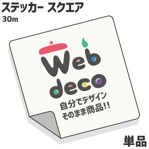 Web deco XebJ[ yXNGA30×30cmz I[_[Ch ʐ^XebJ[  IWi ԃXebJ[  ̓ ̓ Mtg a v[g hV̓