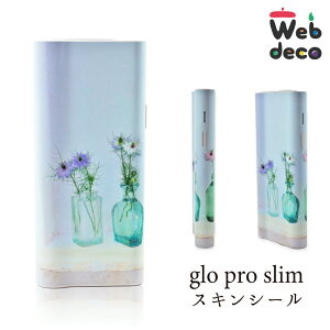 Web deco O[XLV[ y O[vXzyPizglo pro slim EFufR I[_[Ch  JX^}CY  ʐ^ vg a v[g ̓ Mtg 蕨