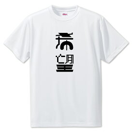 ニ文字漢字 Tシャツ 【4】【希望】【S・M・L サイズ選べます】 オリジナル 【ポジティブグッズ】PSTV