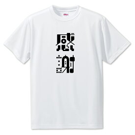 ニ文字漢字 Tシャツ 【24】【感謝】【S・M・L サイズ選べます】 オリジナル 【ポジティブグッズ】PSTV
