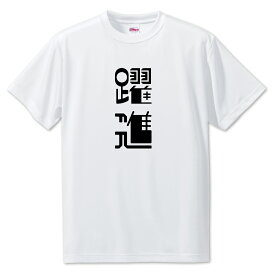 ニ文字漢字 Tシャツ 【30】【躍進】【S・M・L サイズ選べます】 オリジナル 【ポジティブグッズ】PSTV