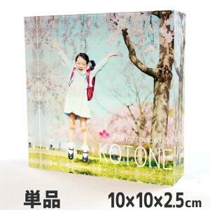 Web deco y ANubN zy10×10×2.5cmz ʐ^ Mtg ANL[u ANtHg   a v[g j