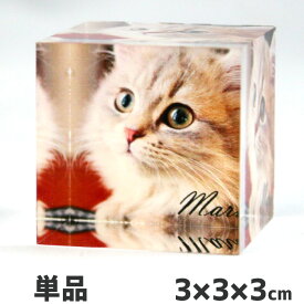 Web deco 【 アクリルブロック 】【3×3×3cm】 写真 ギフト アクリルキューブ アクリルフォト 印刷 推し活 誕生日 プレゼント お祝い