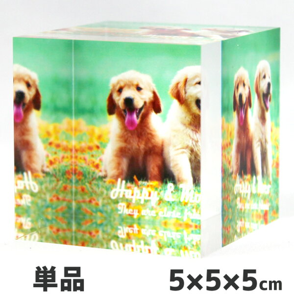 Web deco 【 アクリルブロック 】【5×5×5cm】 写真 ギフト アクリルキューブ アクリルフォト   印刷 推し活 誕生日 プレゼント お祝い