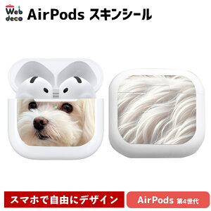 Web deco AirPods�X�L���V�[�� �y AirPods4 �z�y �P�i �z��4����p �G�A�[�|�b�Y�X�L���V�[�� �X�e�b�J�[ ���� ������ �a���� ���j�� �M�t�g ���̓� �v���[���g �I�[�_�[���C�h ������� �l�C �J�X�^