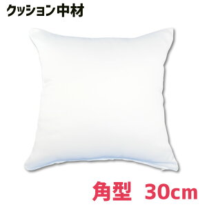 �N�b�V���� ���� �y�p�^ 30cm×30cm�p�z