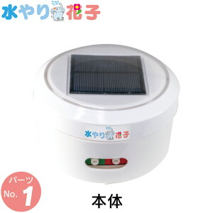 \[[  󐅊 Ԏq pp[c {̂̂