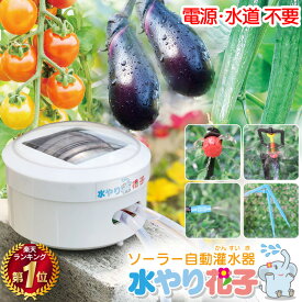 【電源・水道不要】【1年保証】ソーラー 自動 灌水器 水やり花子 水やり器 観葉植物 ベランダ 水やり タイマー 自動散水 自動水やり機 自動水やり 自動給水器 水やりタイマー 充電式 ポンプ 鉢植え プランター 家庭菜園 キット 農業 水撒き 畑 散水 屋外 植物 花 園芸 鉢