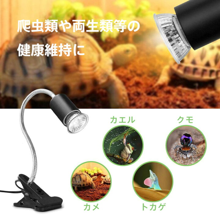 楽天市場 一年保証 亀ライト クリップ式 紫外線 亀 ライト 紫外線ライト Uvaライト Uvbライト 爬虫類用 アナログ太陽 クリップスタンド 爬虫類 25w 50w カメ 爬虫類ライト 両生類用ライト クリップ ソケット Uva Uvb ペット用 調光 ソケット 亀用 高湿度 カエル かめ
