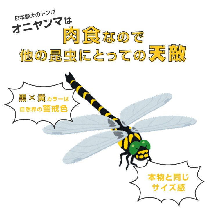 楽天市場 Funks オニヤンマ 4個セット 12cm フィギュア おにやんま 大きい キーホルダー ブローチ ビッグ 12cm級 フィギュアキーホルダー トンボ 蜻蛉 昆虫 虫 動物 模型 アウトドア キャンプ ウォーキング オニヤンマキーホルダー 野外活動 釣り 安全ピン ストラップ 2