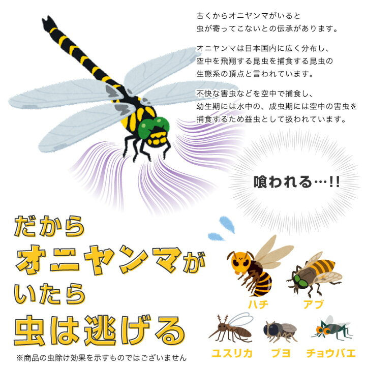 楽天市場 Funks オニヤンマ 2個セット 12cm フィギュア おにやんま 大きい キーホルダー ブローチ ビッグ 12cm級 フィギュアキーホルダー トンボ 蜻蛉 昆虫 虫 動物 模型 アウトドア キャンプ ウォーキング オニヤンマキーホルダー 野外活動 釣り 安全ピン ストラップ 2