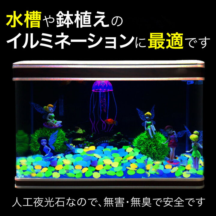 楽天市場】【5kg・約2600個】夜光石 円形 丸形 蓄光石 光る石 蛍光石 