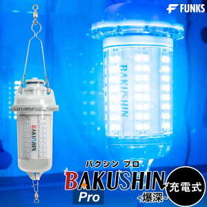 yzyNۏ؁zW [d BAKUSHIN R[hX [C u[   LED WCg CX W Px 30w  Cg  Ɠx Ɩ  铔 Cg LED