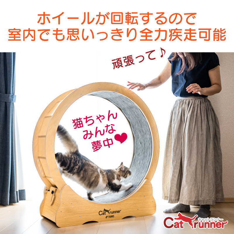 楽天市場】【一年保証】キャットホイール 猫 キャットランナー