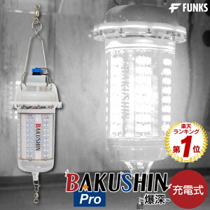 yzyNۏ؁zW [d BAKUSHIN R[hX [C zCg   LED WCg CX W Px 30w  Cg  Ɠx Ɩ  铔 Cg LED