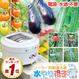 【電源・水道不要】【1年保証】ソーラー 自動 灌水器 水やり花子 水やり器 観葉植物 ベランダ 水やり 1ヶ月 タイマー 自動散水 自動水やり機 自動水やり 自動給水器 水やりタイマー 1週間 充電式 ポンプ 鉢植え プランター 家庭菜園 キット 農業 水撒き 畑 散水 屋外 植物 花