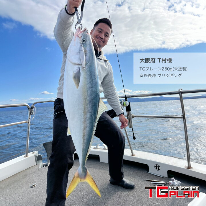 楽天市場】FUNKS TGプレーン 500g タングステン ジグ 未塗装 