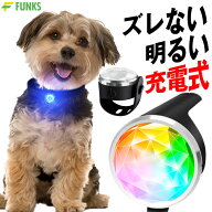 犬 散歩 ライト 充電式 首輪 LED ペンダントライト お散歩ライト 散歩 レインボー 猫 LEDライト チャーム…