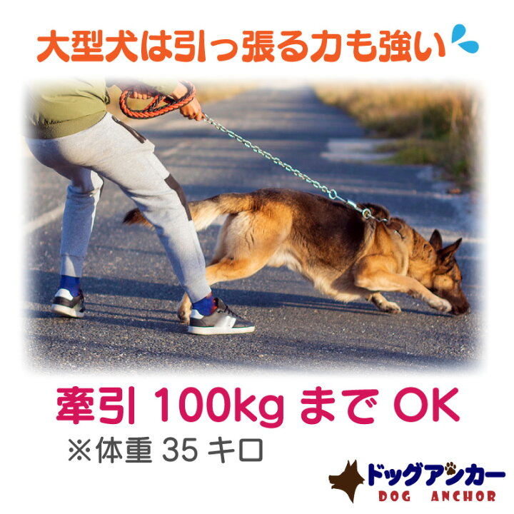 楽天市場 ドッグアンカー 犬用アンカー ドッグポール 大型犬 大型犬用 杭 係留 キャンプ アウトドア 犬 中型犬 小型犬 ペグ 回転 犬用 アンカー つなぐ リード 埋め込み 土 芝 コンクリート アスファルト ドッグ ポール ドライブ ペット用品 リードフック 係留ポール