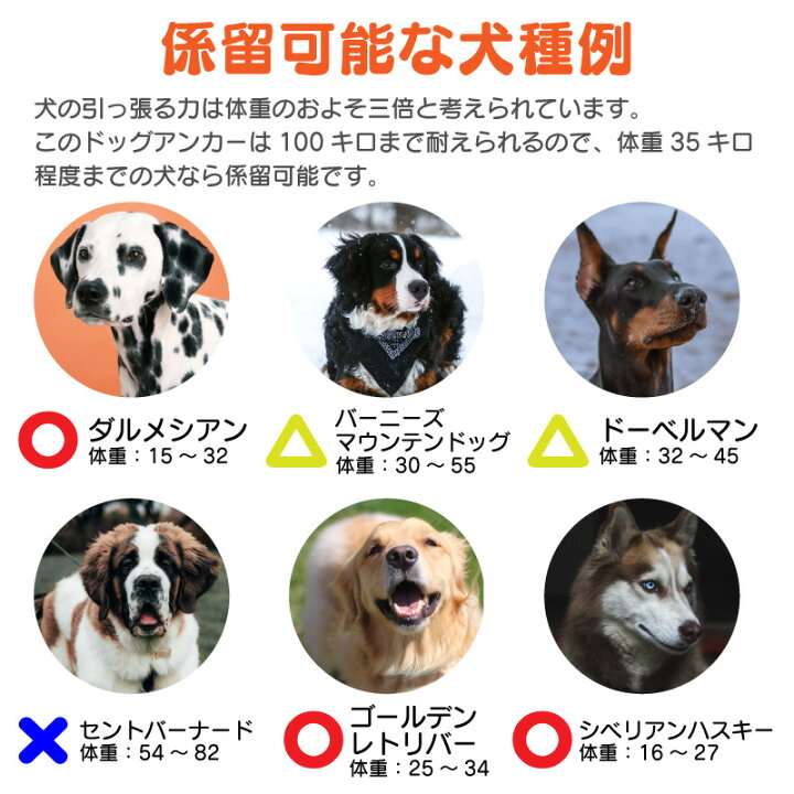 楽天市場 ドッグアンカー 犬用アンカー ドッグポール 大型犬 大型犬用 杭 係留 キャンプ アウトドア 犬 中型犬 小型犬 ペグ 回転 犬用 アンカー つなぐ リード 埋め込み 土 芝 コンクリート アスファルト ドッグ ポール ドライブ ペット用品 リードフック 係留ポール