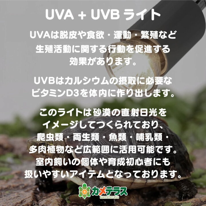 楽天市場 公式 紫外線 紫外線ライト 交換用 E26 50w 爬虫類 亀 亀ライト カメテラス カメテラス用 日光浴ライト ランプ ライト E26口金対応 両生類用 Uvbライト Uvaライト アナログ太陽 カメ 亀用 爬虫類ライト 両生類ライト ペット用 Uva Uvb カエル かめ ヘビ 蛇