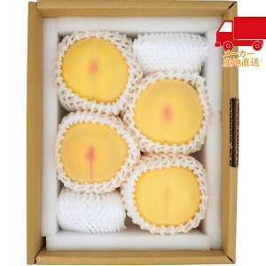 �y�������� 5981�~�ȏ�1���~�ȉ��z������ �䒆�� �ăM�t�g �������� �M�t�g���R���Y�@���R�����i1kg�j�H���i �Y���_�Y ��
