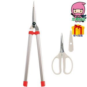 _|CgʃobNII^Ε Ε N N A ԗ @ l\ ߋ Ԃ j Mtg 2025N AX |2_Zbg 䏊EpiE[ DIYpi |pi