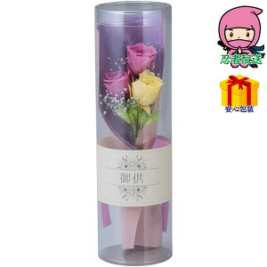 Ε Ε N N A ԗ @ l\ ߋ Ԃ j Mtg 2025N vU[uht[ ~؁i񂰁j i ԁEO| s