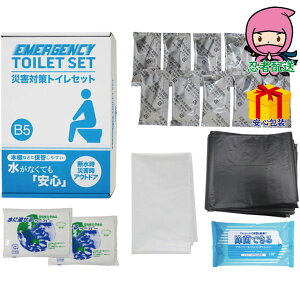 Ε Ε N N A ԗ @ l\ ߋ Ԃ j Mtg 2025N ЊQ΍gCZbg10 W[ AEghAW|p s