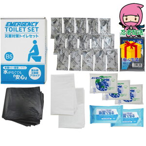 Ε Ε N N A ԗ @ l\ ߋ Ԃ j Mtg 2025N ЊQ΍gCZbg15 W[ AEghAW|p s