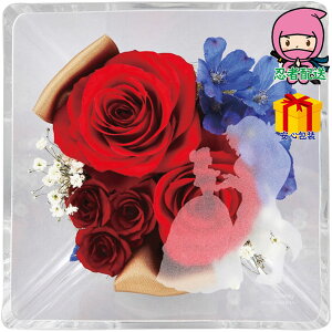 hV̓ c  ߋ Ԃ j Mtg 2025N Gelt[ fBYj[vZXiƖbj i ԁEO| A|gAW