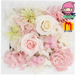 _|CgʃobNII^Ε Ε N N A ԗ @ l\ ߋ Ԃ j Mtg 2025N vU[uhEH[t[iXNGAj i ԁEO| 