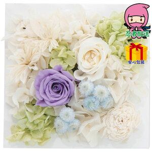 _|CgʃobNII^Ε Ε N N A ԗ @ l\ ߋ Ԃ j Mtg 2025N vU[uhEH[t[iXNGAj i ԁEO| 