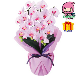 hV̓ c  ߋ Ԃ j Mtg 2025N A[eBtBVt[ 3{~jӒ i ԁEO| A|gAW