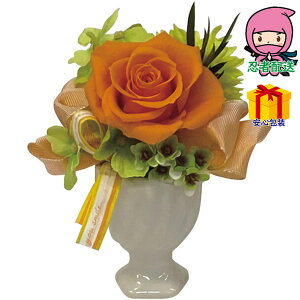 Ε Ε N N A ԗ @ l\ ߋ Ԃ j Mtg 2025N BivU[uht[j i ԁEO| hCt|Pi