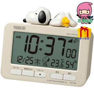 _|CgҌ^Ε Ε N N A ԗ @ l\ ߋ Ԃ j Mtg 2025N Y A[fW^ Xk[s[ i uv ڊodv