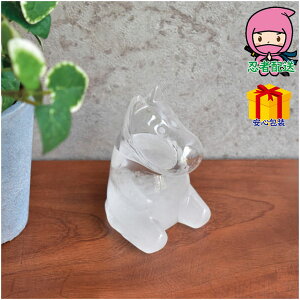 hV̓ c  ߋ Ԃ j Mtg 2025N [~ Xg[OX i xv ㉷xv