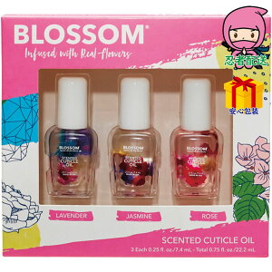 Ε Ε N N A ԗ @ l\ ߋ Ԃ j Mtg 2025N ubT lCICMtgZbg g wlgi ϕi