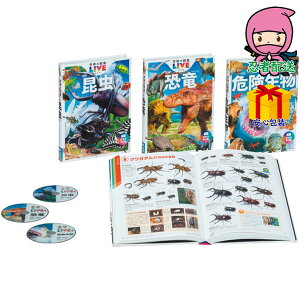 Ε Ε N N A ԗ @ l\ ߋ Ԃ j Mtg 2025N w̐}LIVEV E댯E3Zbg xr[Eqpi qpi mߋ