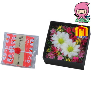 hV̓ c  ߋ Ԃ j Mtg 2025N ق̋CV[Y BOXt[inJ`Egtj Hi g eB[obO