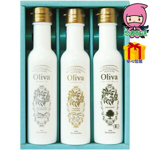 hV̓ c  ߋ Ԃ j Mtg 2025N MVY GNXgo[WI[uICMtg Hi Hp Hp