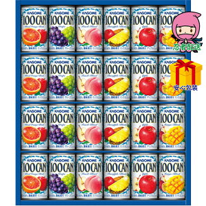 yS 3980~z hV̓ c ߋ Ԃ j Mtg 2025N JS 100t[cW[XMtgi24{j Hi  100ʏ`