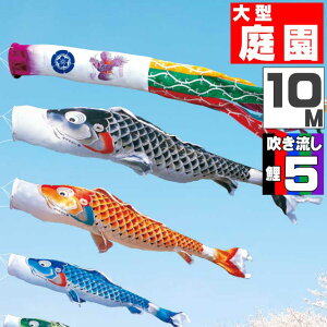 _|CgʃobNII^̂ڂ 傫 ̂ڂ    O ^Zbg g 10m 8_Zbg IV