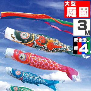 _|CgʃobNII^̂ڂ 傫 ̂ڂ    O ^Zbg YS[h 3m 7_Zbg IV