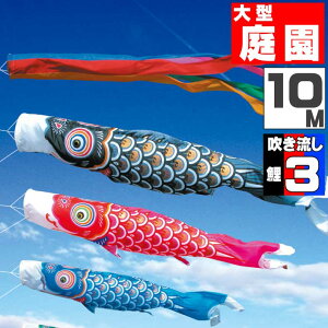 _|CgʃobNII^̂ڂ 傫 ̂ڂ    O ^Zbg S[h 10m 6_Zbg IV